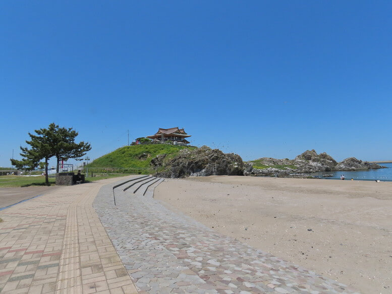 青森県八戸市 蕪島･蕪島神社 ウミネコ