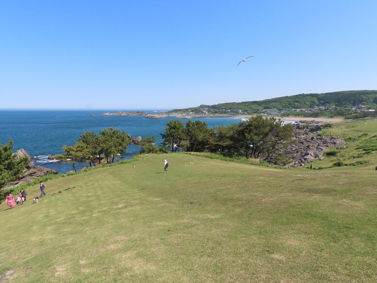 青森県八戸市 三陸ジオパーク みちのく潮風トレイル 種差海岸 種差天然芝生地